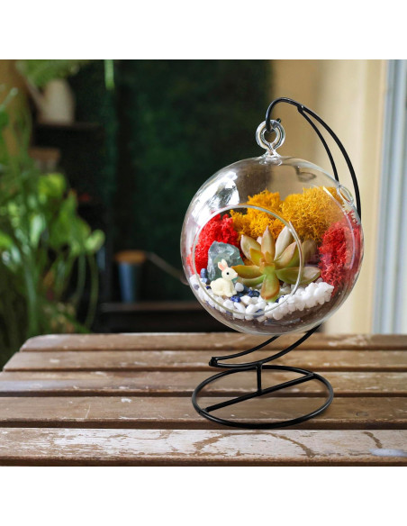 Kit de Terrario DIY Colgante Creaciones de Nathalie 12.7 cm