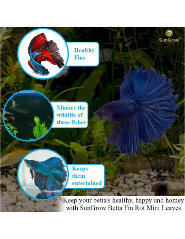 Hojas de Catappa SunGrow 50 pcs para Betta 5.08 cm