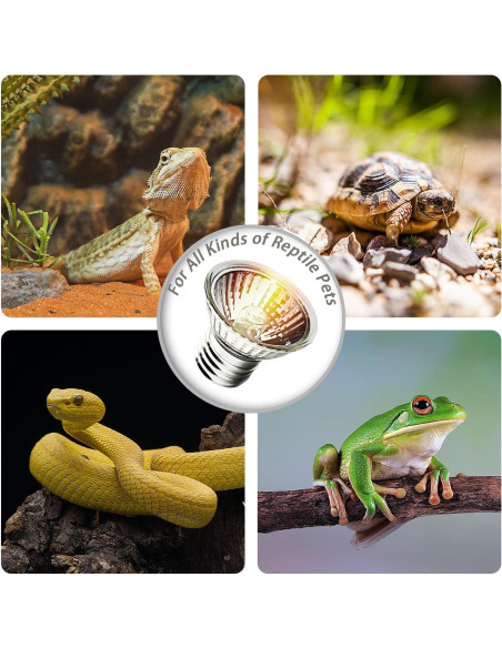 Paquete de 2 bombillas de calor UVA UVB 25W KOHEOPT para reptiles Paquete de 2 bombillas de calor UVA UVB 25W KOHEOPT para reptiles