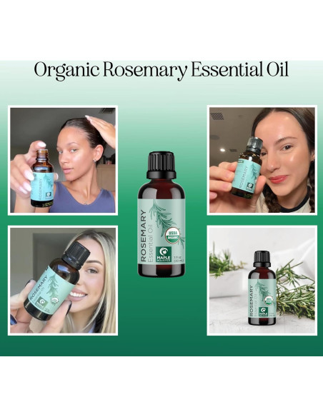 Aceite Esencial de Romero Orgánico 30 ml - Maple Holistics Aceite Esencial de Romero Orgánico 30 ml - Maple Holistics