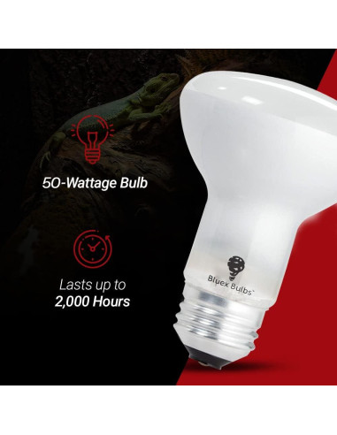 Paquete de 4 bombillas de calor 50W Bluex Bulbs para reptiles