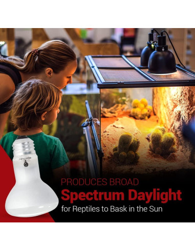 Paquete de 4 bombillas de calor 50W Bluex Bulbs para reptiles