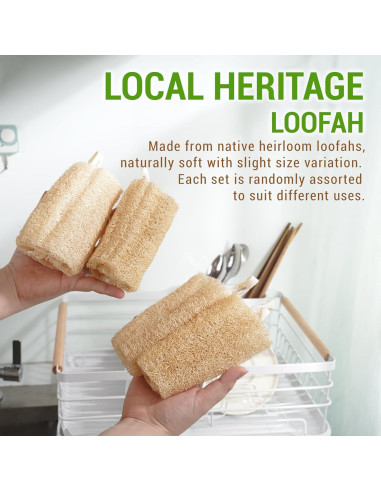 Esponja de Lufa Natural Herbvian - Exfoliante Corporal 4 Piezas