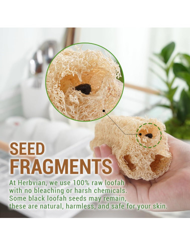 Esponja de Lufa Natural Herbvian - Exfoliante Corporal 4 Piezas