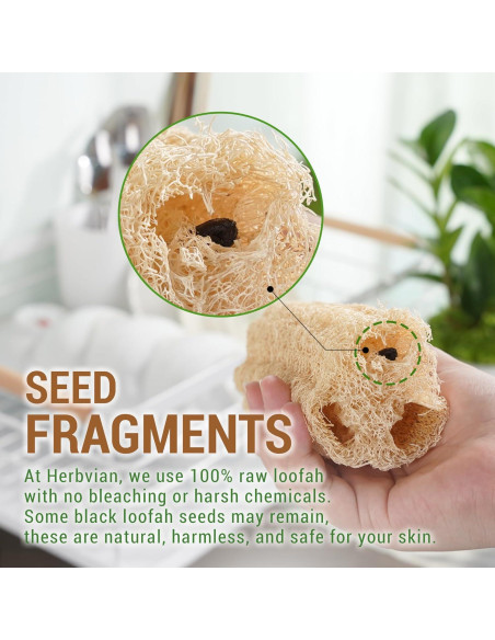 Esponja de Lufa Natural Herbvian - Exfoliante Corporal 4 Piezas Esponja de Lufa Natural Herbvian - Exfoliante Corporal 4 Piezas