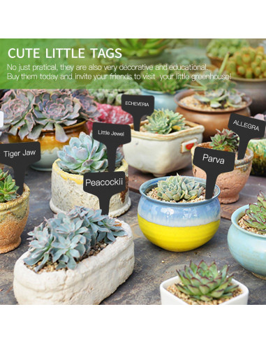 Etiquetas de Jardín Prudance 50pcs Reutilizables T Negro