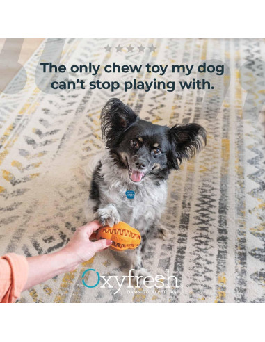 Juguete Dental Oxyfresh para Perros Pequeños - Goma Natural