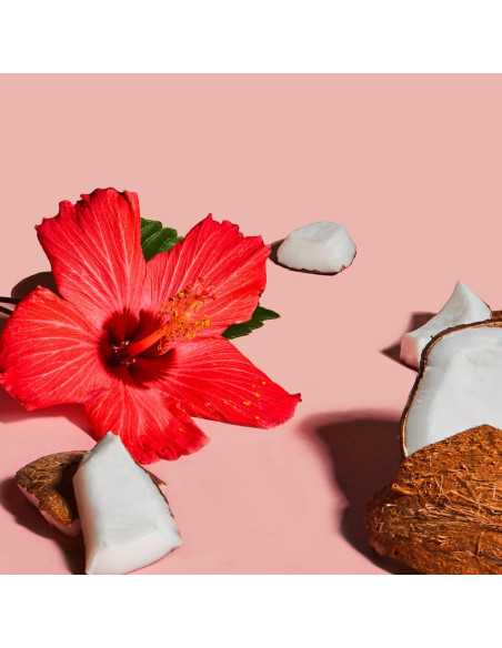 Crema para Rizos SheaMoisture Coco y Hibisco Niños 170 g Crema para Rizos SheaMoisture Coco y Hibisco Niños 170 g