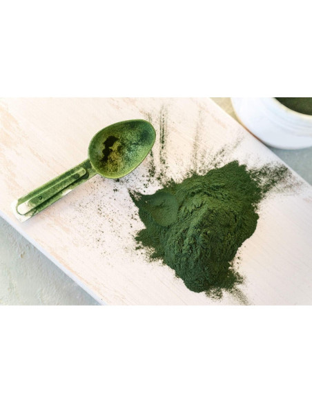 Polvo de Chlorella Orgánica Food to Live 113g - Superalimento Vegano Polvo de Chlorella Orgánica Food to Live 113g - Superalimento Vegano