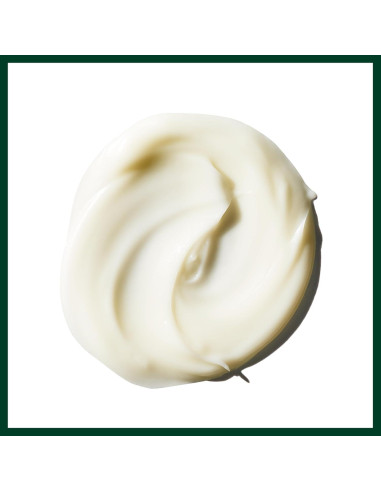 Crema Hidratante para Manos Aveda 38.4 ml - Tamaño de Viaje