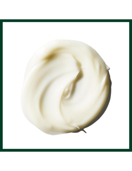 Crema Hidratante para Manos Aveda 38.4 ml - Tamaño de Viaje Crema Hidratante para Manos Aveda 38.4 ml - Tamaño de Viaje