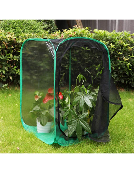 Jaula de Mariposas Monarca Restcloud 61x61x91 cm Colapsable Jaula de Mariposas Monarca Restcloud 61x61x91 cm Colapsable