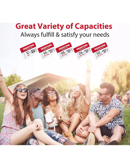 GIGASTONE 64GB Tarjeta Micro SD 2-Pack UHS-I U3 V30 4K GIGASTONE 64GB Tarjeta Micro SD 2-Pack UHS-I U3 V30 4K