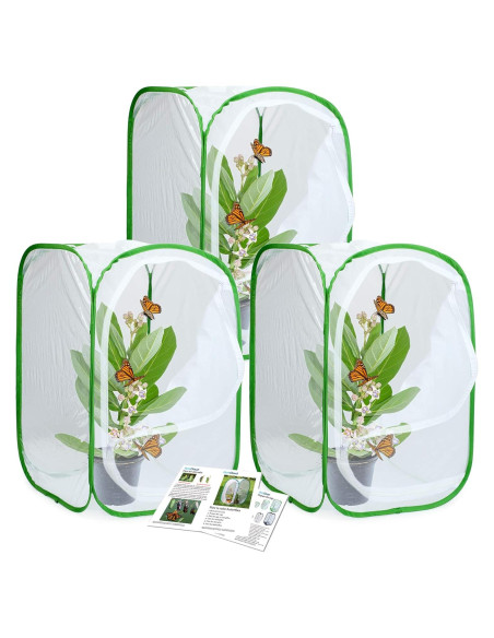 Terrario para Mariposas Restcloud - Paquete de 3 Unidades 60 cm Terrario para Mariposas Restcloud - Paquete de 3 Unidades 60 cm