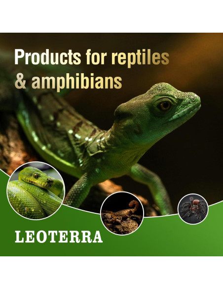 Lámpara de Calor Nocturna Roja LEOTERRA R80 para Reptiles 2PACK Lámpara de Calor Nocturna Roja LEOTERRA R80 para Reptiles 2PACK