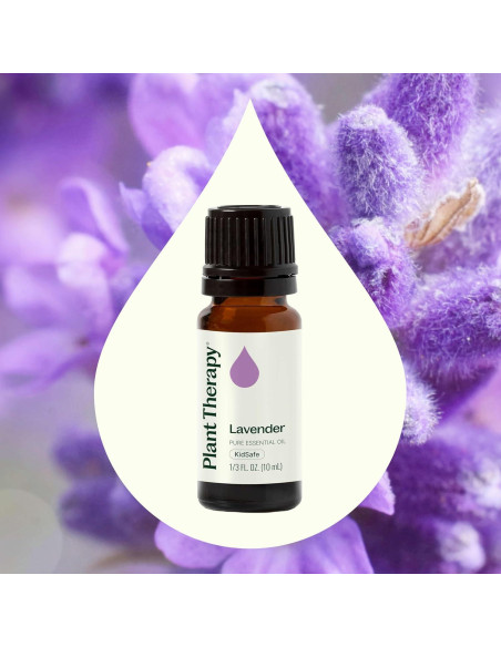Aceite Esencial de Lavanda Plant Therapy 100% Puro 10 mL Aceite Esencial de Lavanda Plant Therapy 100% Puro 10 mL