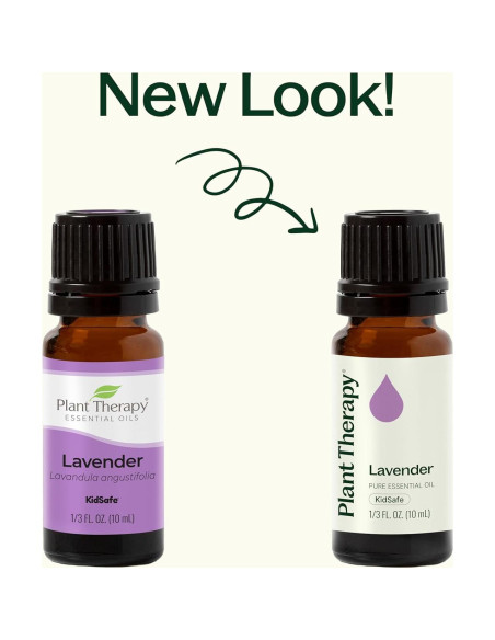 Aceite Esencial de Lavanda Plant Therapy 100% Puro 10 mL Aceite Esencial de Lavanda Plant Therapy 100% Puro 10 mL
