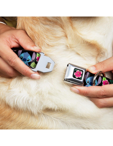 Collar para Perros Disney Buckle-Down 24.1-33 cm 2.5 cm Ancho