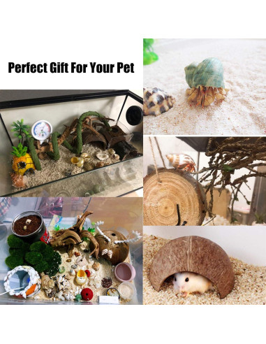 Cabaña de Coco Natural para Cangrejo Ermitaño PINVNBY - 12 Pcs