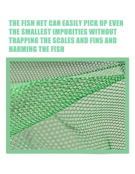 Red de Acuario AOODOOM 20.32 cm Paquete de 2 Verde Red de Acuario AOODOOM 20.32 cm Paquete de 2 Verde