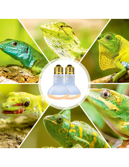 Lámpara de Calor UVA para Reptiles REPTIZOO 50W Paquete de 2 Lámpara de Calor UVA para Reptiles REPTIZOO 50W Paquete de 2