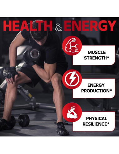 Suplemento Dedicad Test Support 120 Cápsulas 7 en 1 Energía