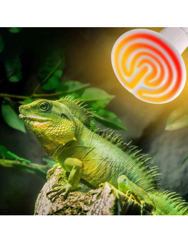 Bombilla de Calor Cerámica AIICIOO 60W para Reptiles 110V