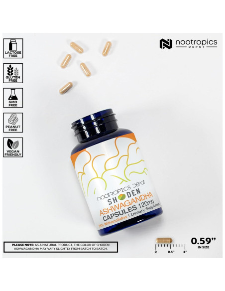 Cápsulas de Extracto de Ashwagandha Nootropics Depot 120mg 30 Unidades Cápsulas de Extracto de Ashwagandha Nootropics Depot 120mg 30 Unidades