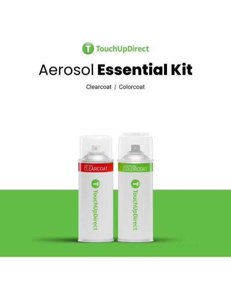 Pintura de Retoque Aerosol TouchUpDirect Plata Atómica 591ml Pintura de Retoque Aerosol TouchUpDirect Plata Atómica 591ml