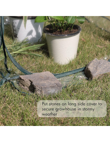 Invernadero Pop-up Gardzen 68.5x68.5x78.7 cm para Plantas Invernadero Pop-up Gardzen 68.5x68.5x78.7 cm para Plantas