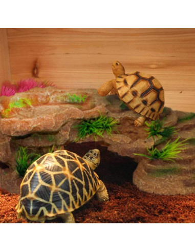 Plataforma de Sol para Tortugas PINVNBY 27.4x15.5 cm Resina