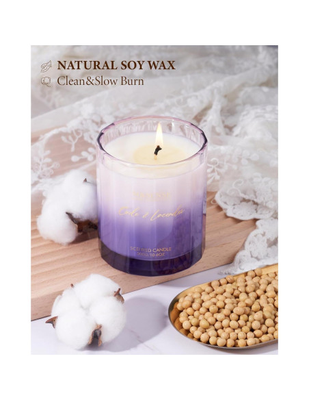 Vela Aromática M&SENSE Lavanda Cade 300g 58 Horas Vela Aromática M&SENSE Lavanda Cade 300g 58 Horas