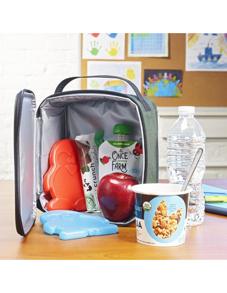 Paquetes de Hielo Delgados Fit & Fresh Cool Coolers - Set de 4 Paquetes de Hielo Delgados Fit & Fresh Cool Coolers - Set de 4