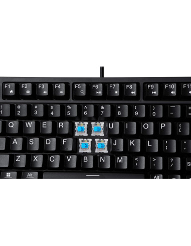 Teclado Mecánico Compacto Adesso EasyTouch AKB-610UB USB