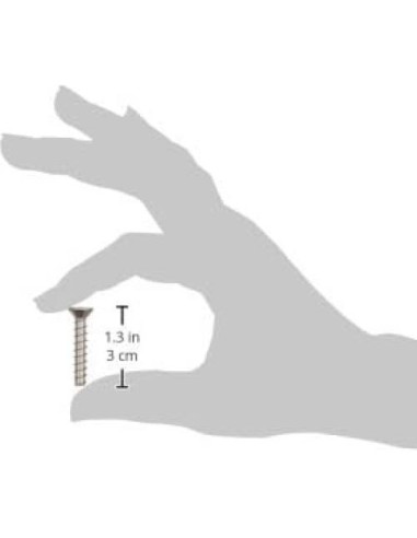 Juego de Tornillos Autoperforantes Hayward SPX1084Z4AM 3.18 cm