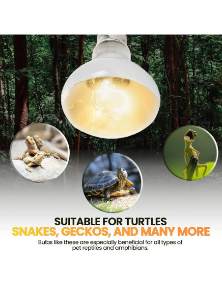Bombillas de Calor para Reptiles CALPALMY 100W UVA - Paquete de 4 Bombillas de Calor para Reptiles CALPALMY 100W UVA - Paquete de 4