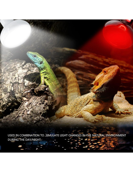 Bombillas de Calor UVA y Infrarrojas para Reptiles 75W - Waazoorep Bombillas de Calor UVA y Infrarrojas para Reptiles 75W - Waazoorep