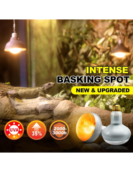 Bombilla de Calor para Reptiles MIXJOY 100W 2Pack UVA Bombilla de Calor para Reptiles MIXJOY 100W 2Pack UVA