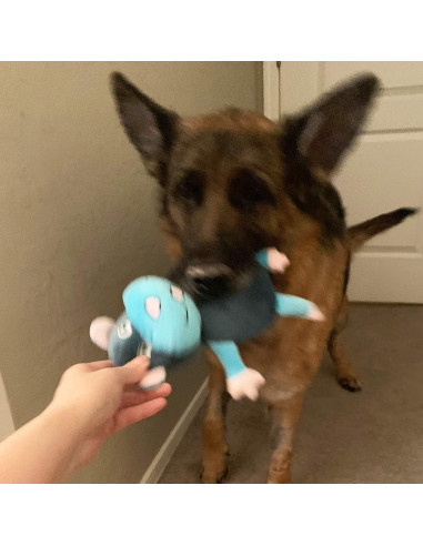 Juego de Juguetes para Perros Jalousie 3 Piezas 2-en-1 Squeaky