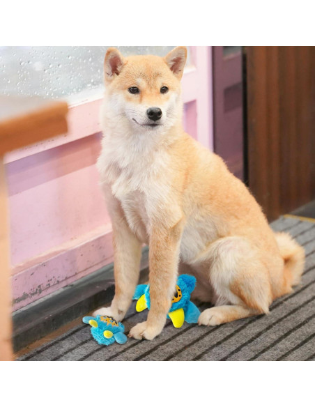 Pelota de Juguete para Perro Best Pet Supplies Azul Pequeño Pelota de Juguete para Perro Best Pet Supplies Azul Pequeño