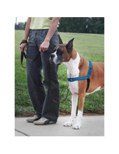Arnés PetSafe Easy Walk Deluxe Grande Océano Sin Tirones 2