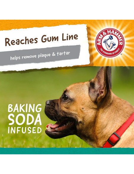 Juguete Dental para Perros Arm & Hammer Mantequilla de Maní Juguete Dental para Perros Arm & Hammer Mantequilla de Maní