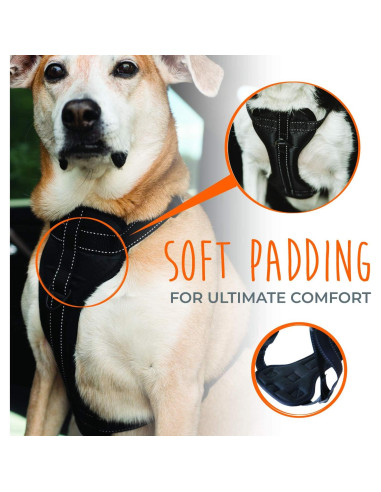 Arnés para Perros Mighty Paw - Seguridad Vehicular - Pequeño