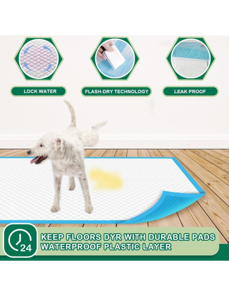Almohadillas Desechables para Entrenamiento IMMCUTE 56x58cm - 50 Piezas Almohadillas Desechables para Entrenamiento IMMCUTE 56x58cm - 50 Piezas