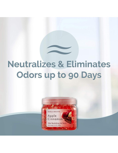 Gel Eliminador de Olores SMELLS BEGONE 340g Manzana y Canela