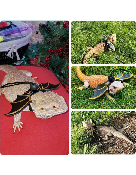 Arnés y Correa Ajustable Pawaboo para Dragón Barbudo - 3 Tamaños Arnés y Correa Ajustable Pawaboo para Dragón Barbudo - 3 Tamaños