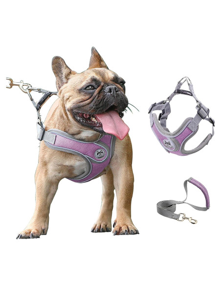 Arnés Ajustable para Perros Pequeños D.QingPei Púrpura S Arnés Ajustable para Perros Pequeños D.QingPei Púrpura S