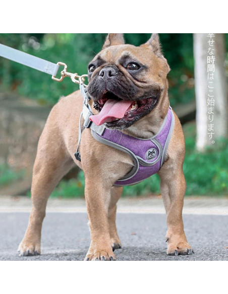 Arnés Ajustable para Perros Pequeños D.QingPei Púrpura S Arnés Ajustable para Perros Pequeños D.QingPei Púrpura S