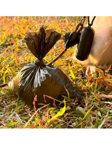 Bolsas de Desechos para Perros Typlastics 360 Unidades Sin Fragancia