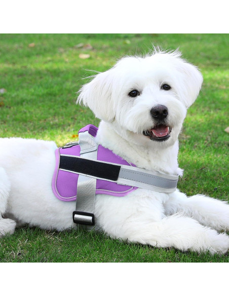 Arnés para Perros Bolux Mediano Lavanda Ajustable Reflectante Arnés para Perros Bolux Mediano Lavanda Ajustable Reflectante